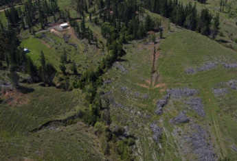 Terreno forestal de 22,65 ha en Yumbel – Ideal inversión sustentable🌿 - Imagen 15