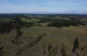 Terreno forestal de 22,65 ha en Yumbel – Ideal inversión sustentable🌿 - Imagen 17