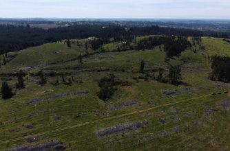 Terreno forestal de 22,65 ha en Yumbel – Ideal inversión sustentable🌿 - Imagen 19