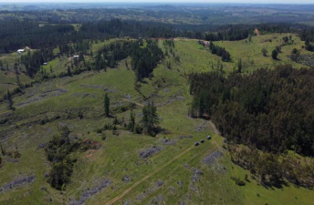 Terreno forestal de 22,65 ha en Yumbel – Ideal inversión sustentable🌿 - Imagen 20