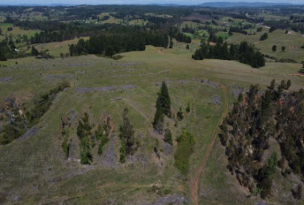 Terreno forestal de 22,65 ha en Yumbel – Ideal inversión sustentable🌿 - Imagen 21