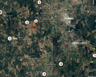 Terreno forestal de 22,65 ha en Yumbel – Ideal inversión sustentable🌿 - Imagen 7