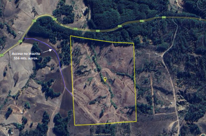 Terreno forestal de 22,65 ha en Yumbel – Ideal inversión sustentable🌿 - Imagen 8