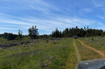 Terreno forestal de 22,65 ha en Yumbel – Ideal inversión sustentable🌿 - Imagen 10