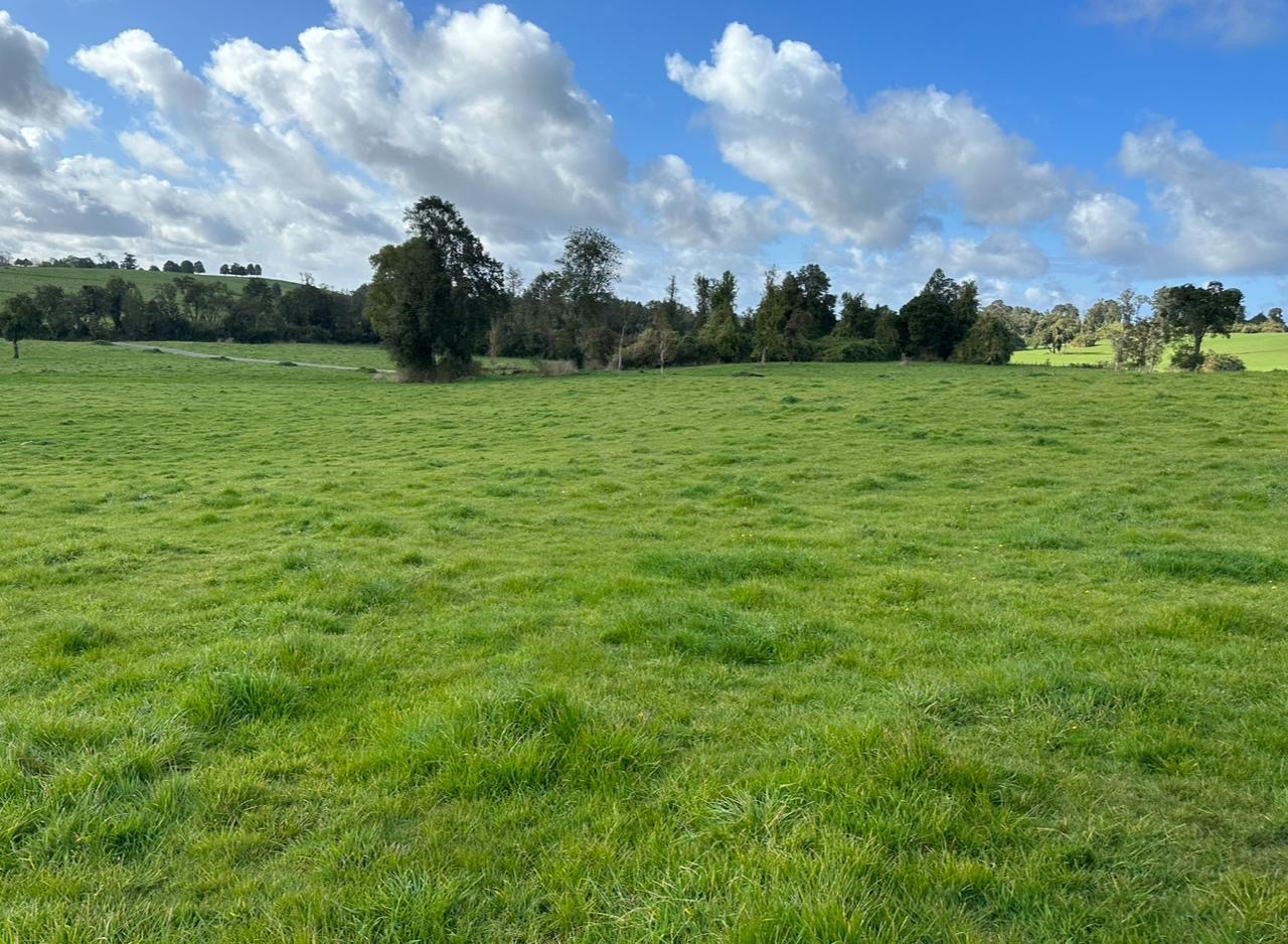 🏞 EXCLUSIVA PARCELA EN PUERTO VARAS — 5.000 m² - Imagen 2