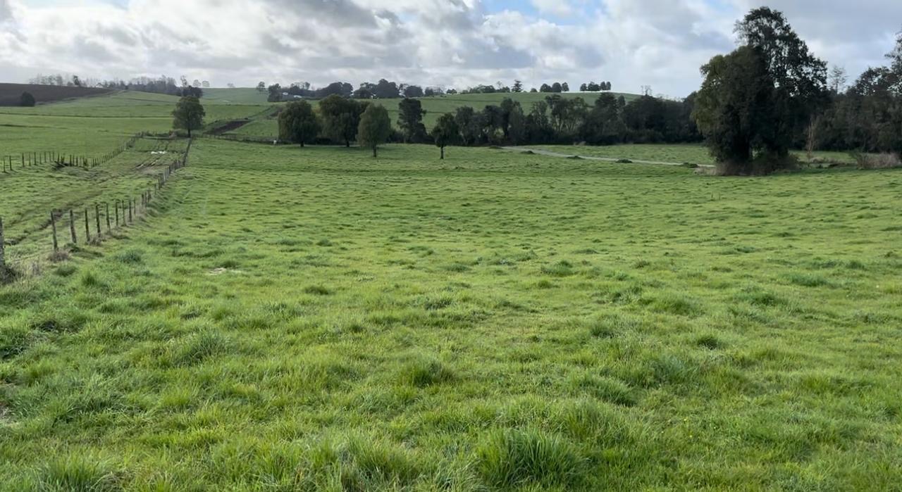 🏞 EXCLUSIVA PARCELA EN PUERTO VARAS — 5.000 m² - Imagen 3