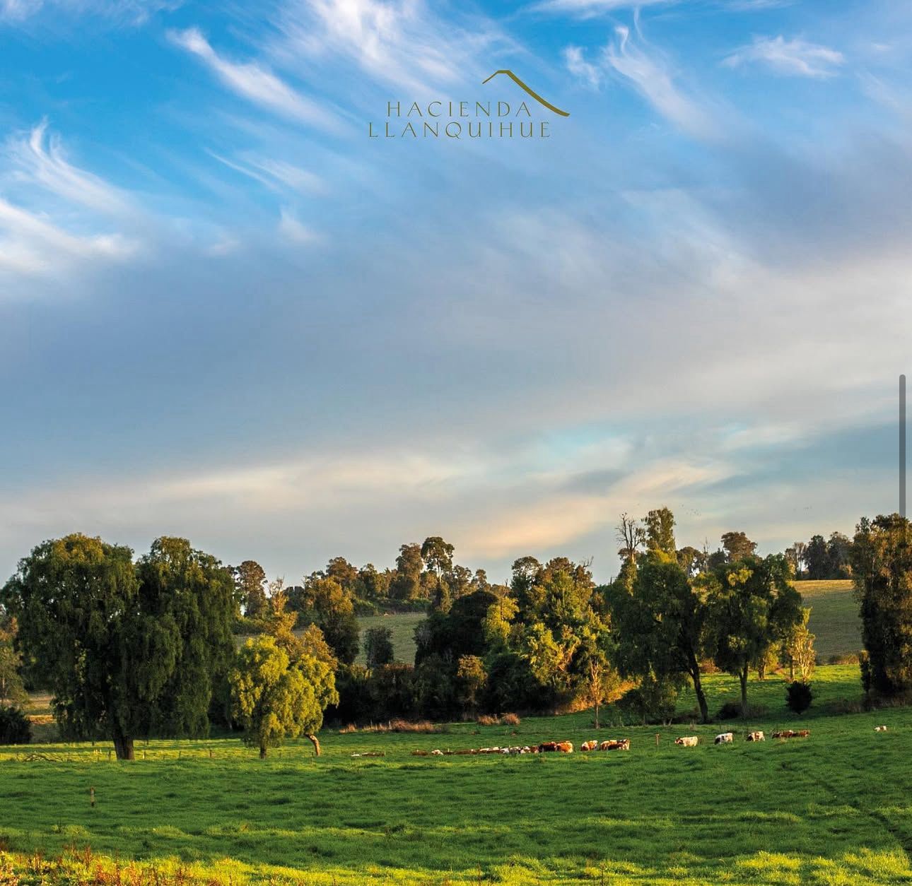 🏞 EXCLUSIVA PARCELA EN PUERTO VARAS — 5.000 m² - Imagen 17