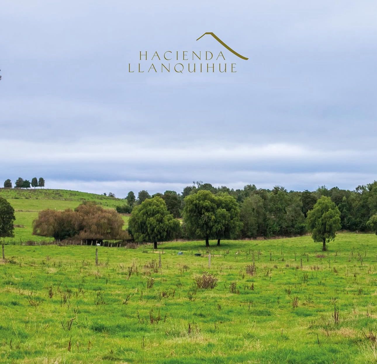 🏞 EXCLUSIVA PARCELA EN PUERTO VARAS — 5.000 m² - Imagen 18