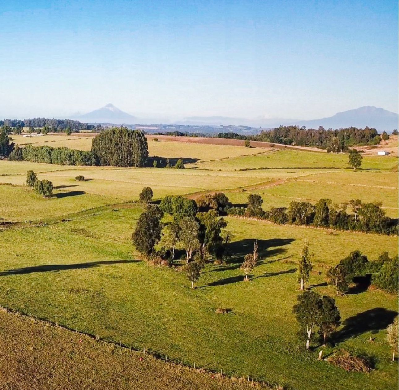 🏞 EXCLUSIVA PARCELA EN PUERTO VARAS — 5.000 m² - Imagen 13