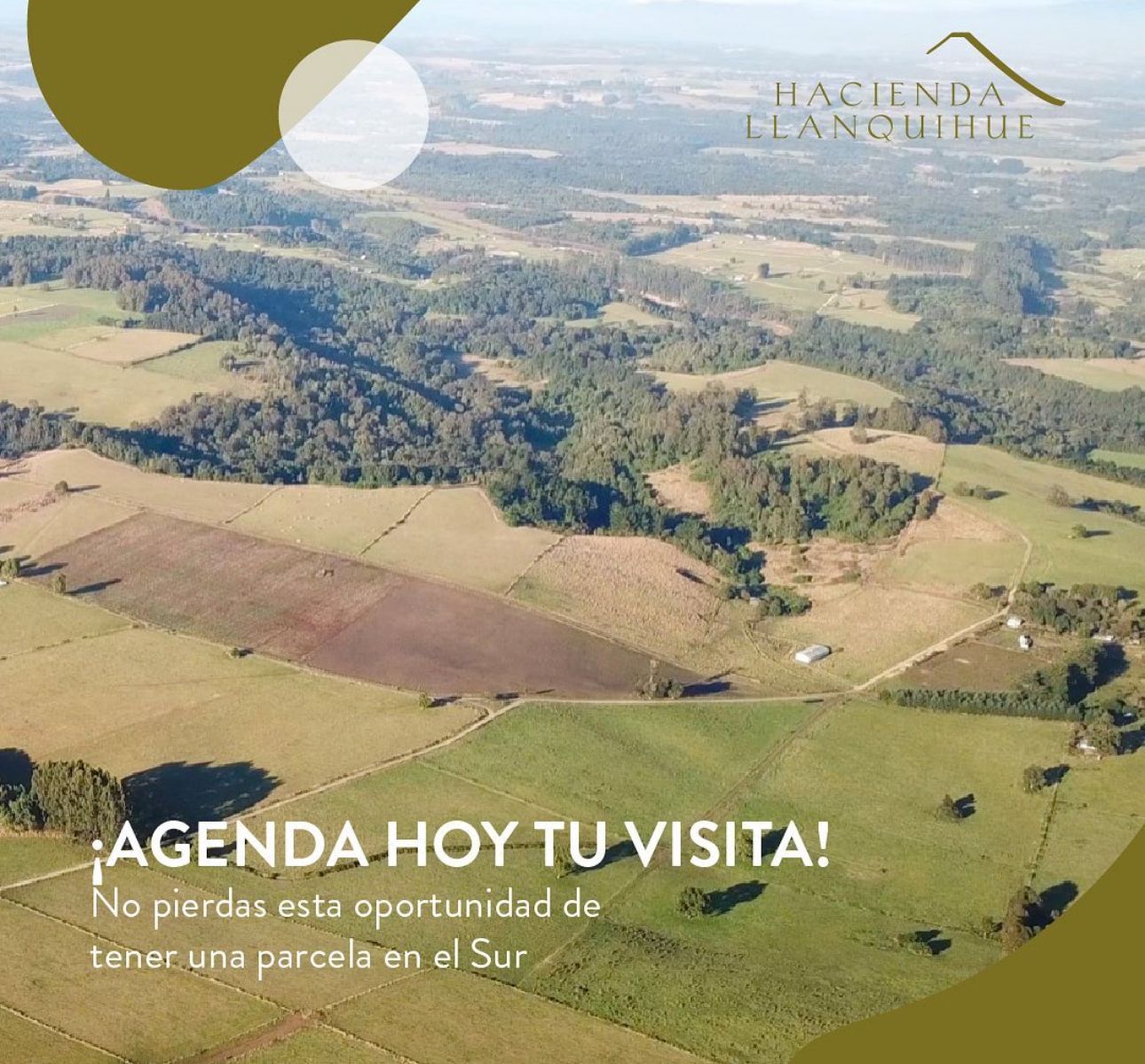🏞 EXCLUSIVA PARCELA EN PUERTO VARAS — 5.000 m² - Imagen 14