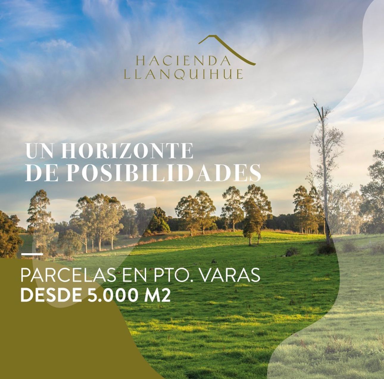 🏞 EXCLUSIVA PARCELA EN PUERTO VARAS — 5.000 m²