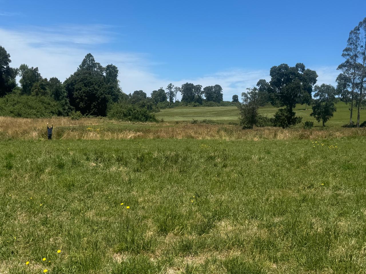 🏞 EXCLUSIVA PARCELA EN PUERTO VARAS — 5.000 m² - Imagen 5