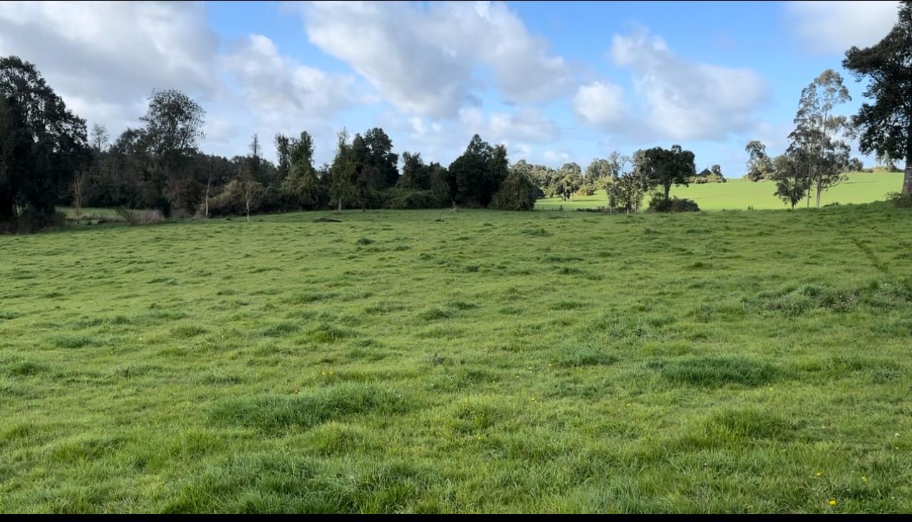 🏞 EXCLUSIVA PARCELA EN PUERTO VARAS — 5.000 m² - Imagen 4