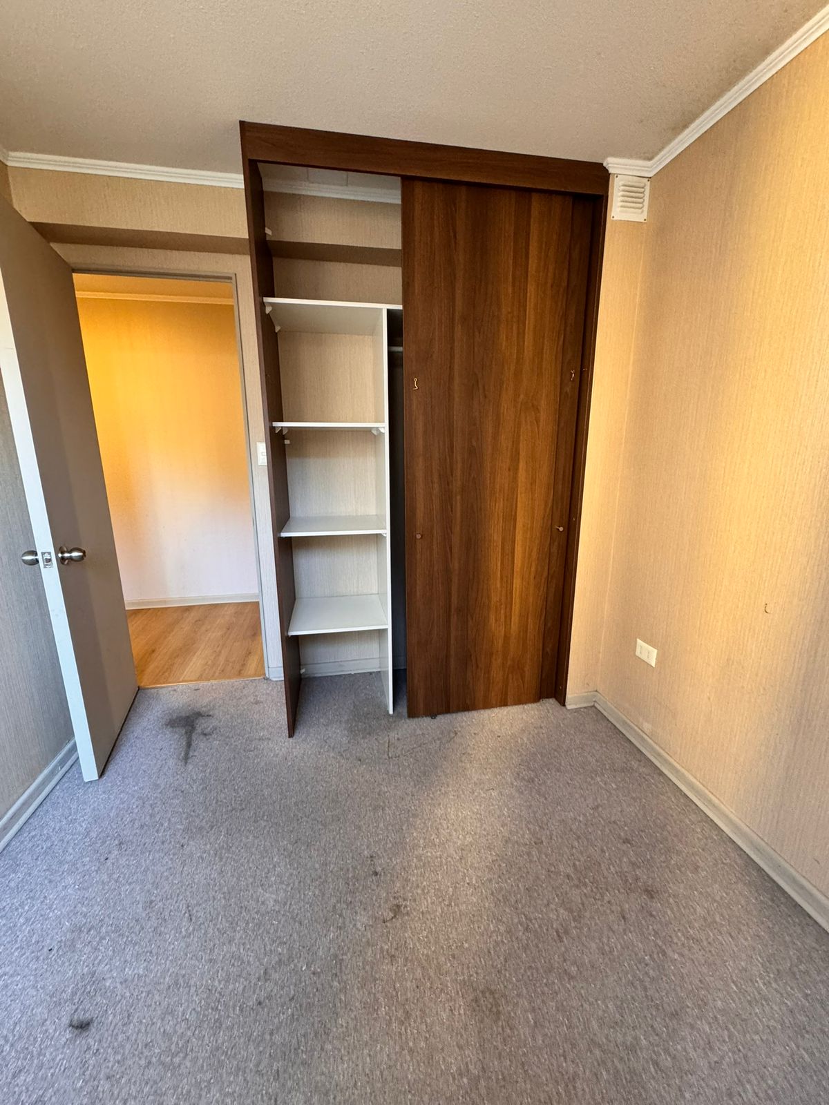 PHOTO-2025-09-28-17-36-27_1