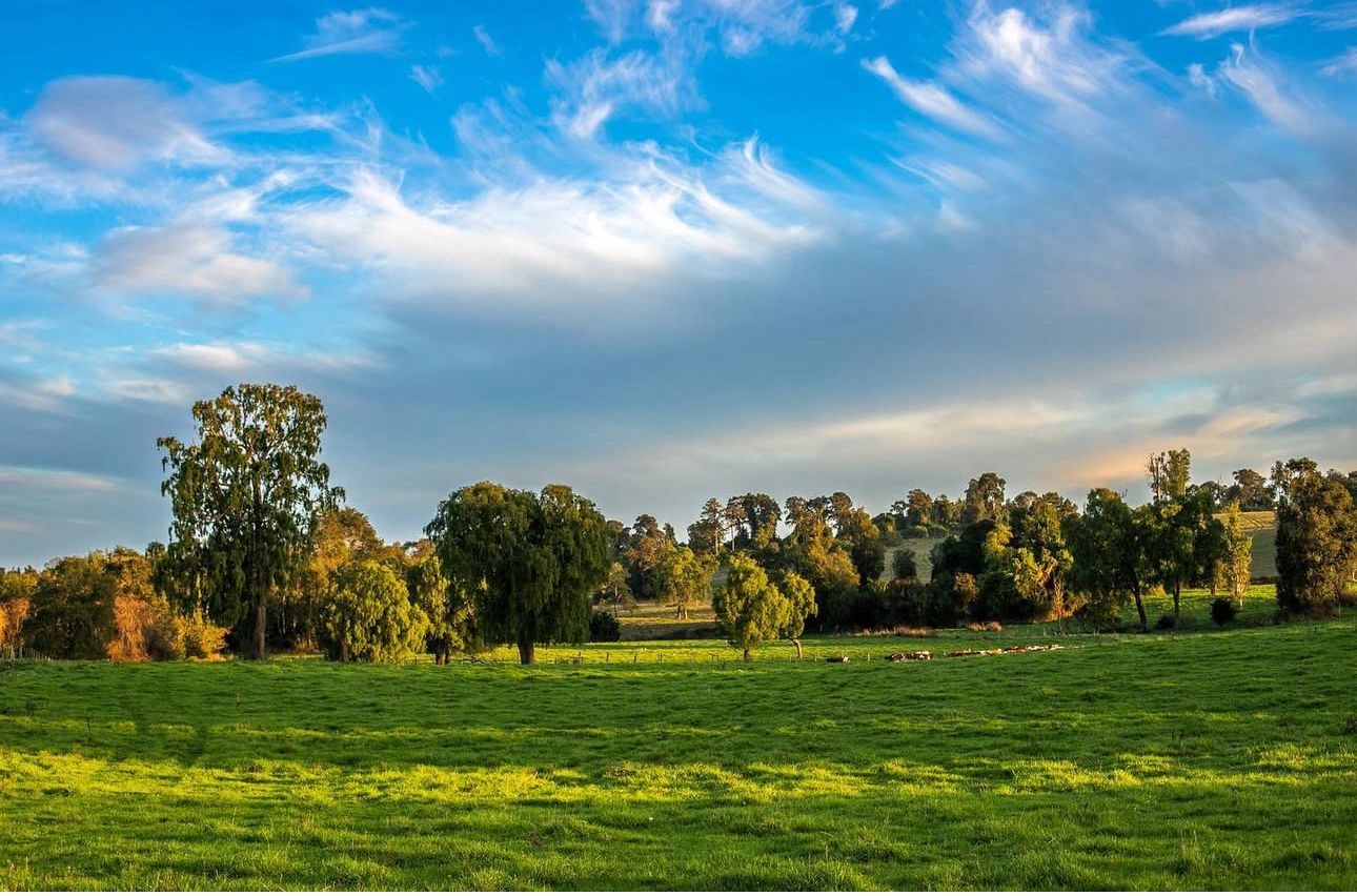 WhatsApp-Image-2025-11-04-at-10.55.44-AM-5