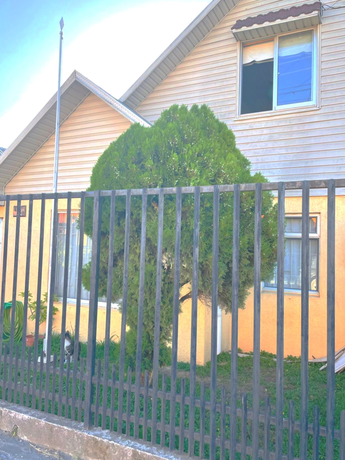 WhatsApp-Image-2025-11-25-at-1.59.02-PM-3