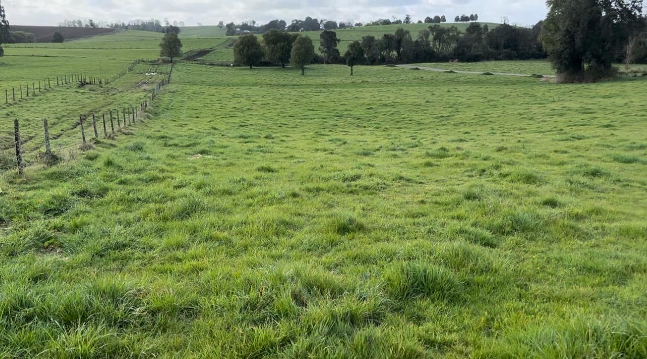 cf636c27-0fe2-4e5b-b12c-32e84e332a46